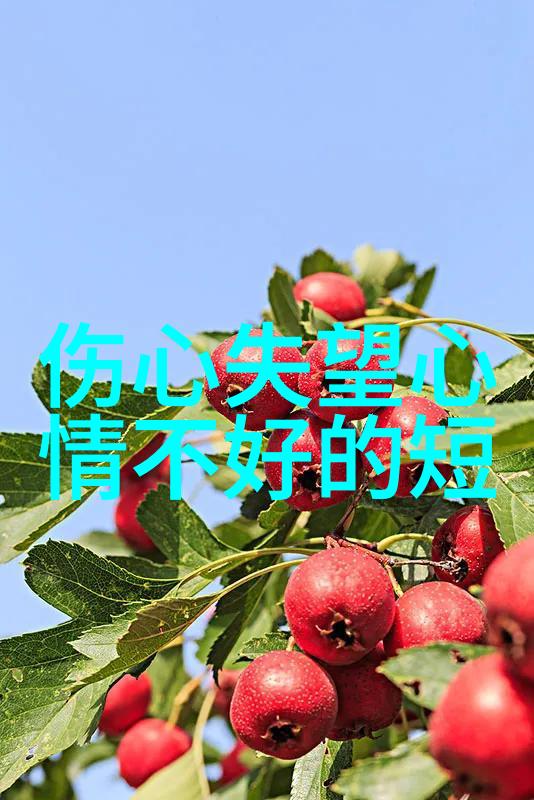 最新电视剧大全相思令官宣开机杨颖宋威龙首次合作演绎双强斗爱这是他们共同的舞台这是他们情感的碰撞这部作