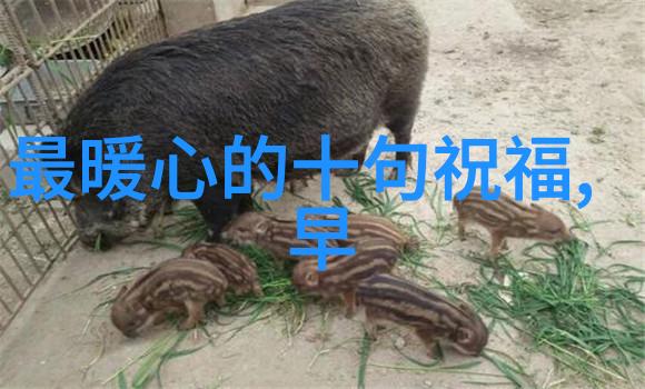 人生感悟最火的句子生命的美好不在于其长短而在于它是否有意义