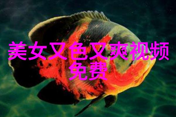 花千骨 txt我和花千骨的奇幻恋情从txt到真实世界