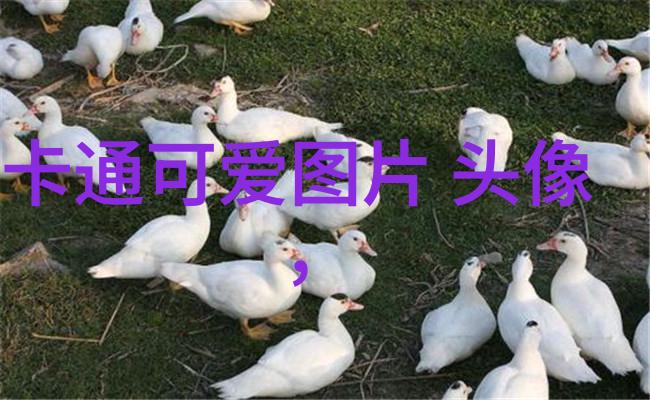 随着AI技术进步未来是否会出现无需人工输入就能进行全文翻译的系统