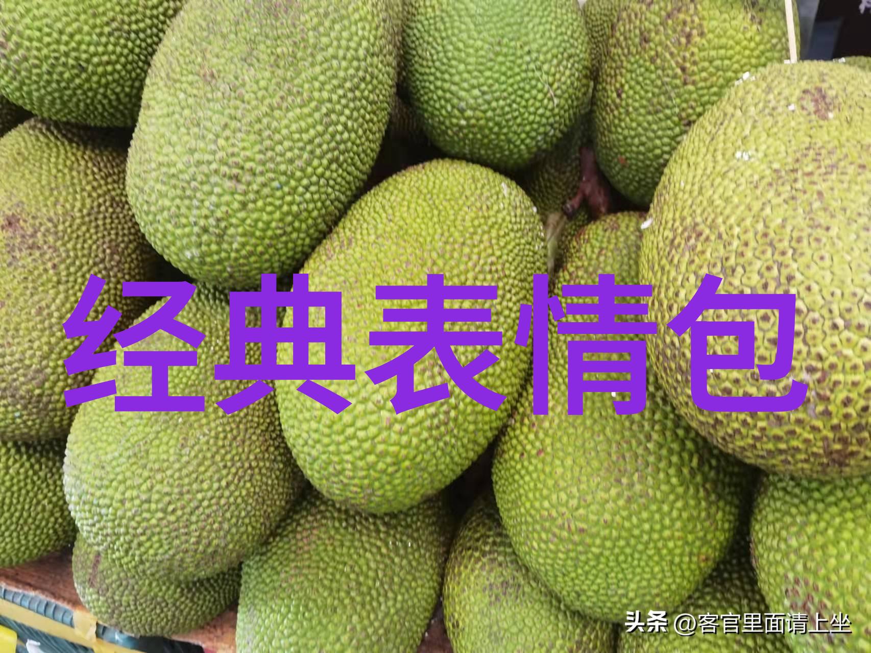 一天之初一句话可以改变心情解读早安的力量