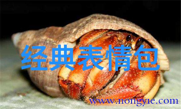 哪些流行应用程序提供了免费的图片文字识别功能