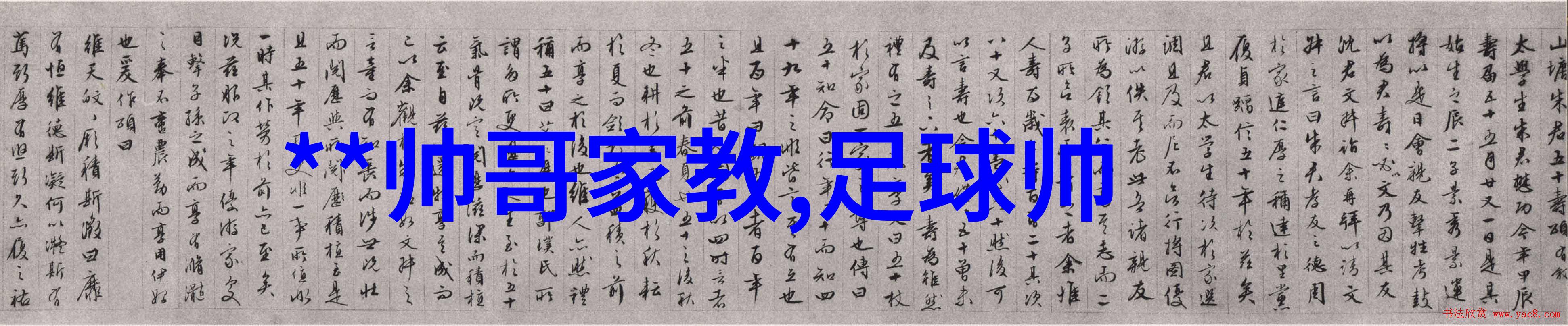 星光闪耀日本明星的笑声与舞台