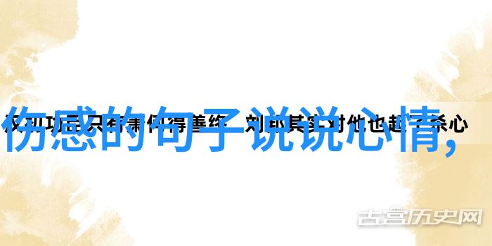 今天是什么特殊的节日这个问题背后隐藏着什么