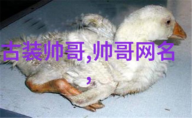 文化背景下对女性如何看待这种惩罚方式