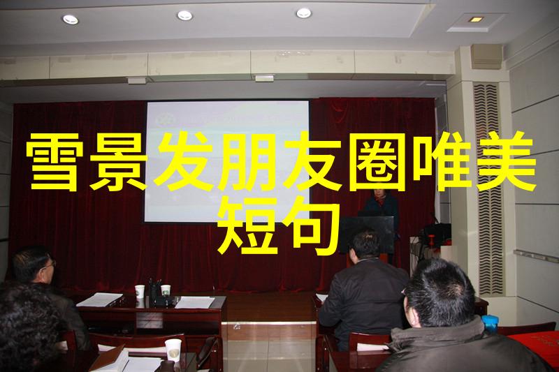导演与编剧的挑战如何完美搭配明星三缺