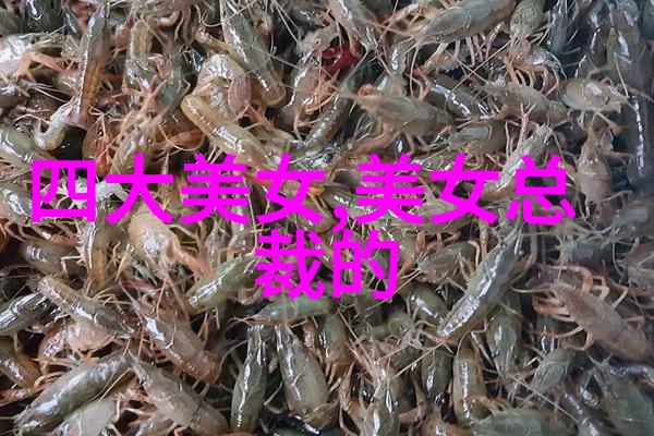 解读先后天八卦数字对照图揭秘古代占星术中的数理奥秘