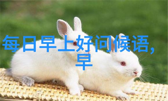 少数民族节日风情画卷