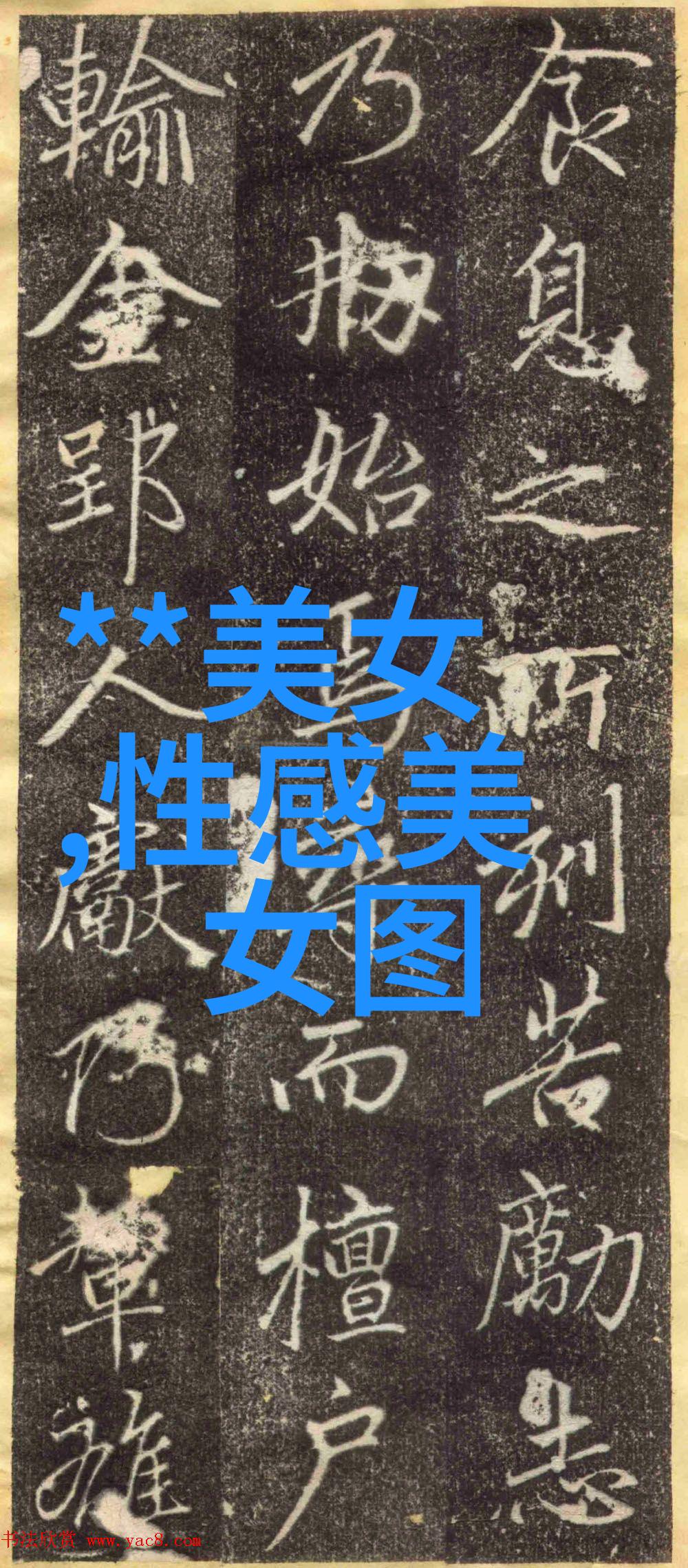 探秘各类免费聊天应用