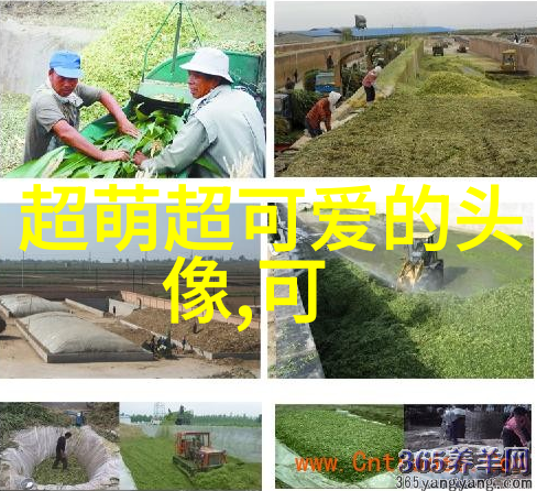美男表情包的魅力与文化意义
