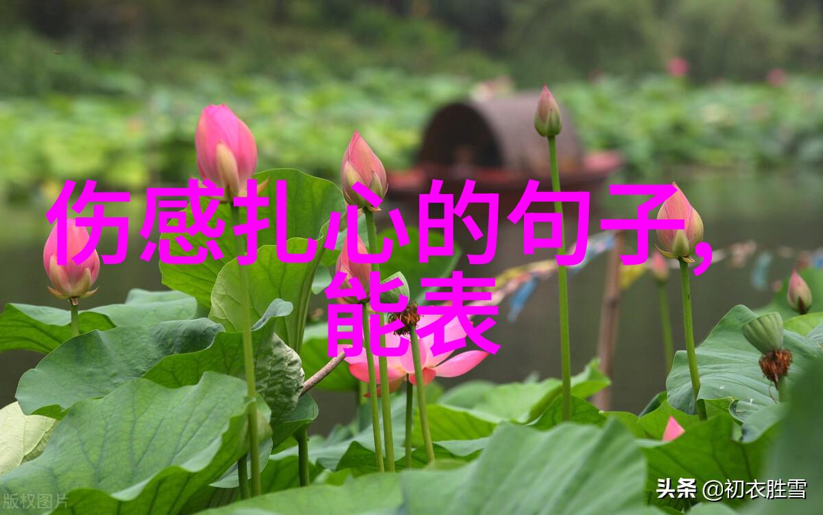 月光影视大全高清版 魔发精灵2贾老板闪耀特辑贾斯汀双管齐剪