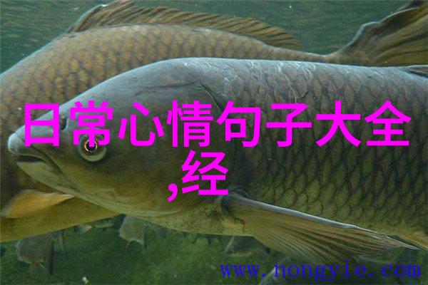 不正经的微信群我是怎么卷入一个搞笑的聊天战场