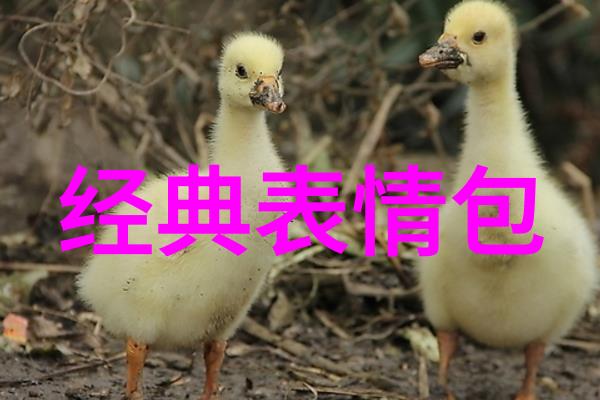 在星光下轻轻飘扬的网名森系复古清新自然2018最新版穿梭于薄情世界的每一角落她深情地活着