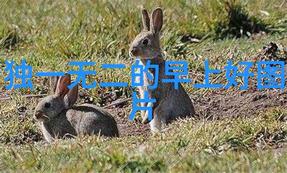 虚拟通道探索tttzzz传送门2023网页版的未来可能
