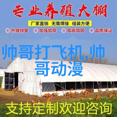 美少年学社之争向华强与刘銮雄的真相