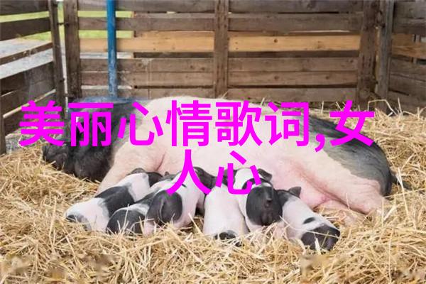 超级明星大乱斗揭秘任天堂最强组合