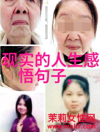 易经八卦指南风起洛阳东川王的秘密血脉