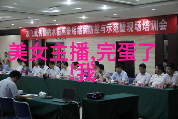 字里行间的笑话大师揭秘汉字之美的幽默面