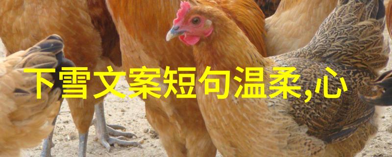 他的游戏ID你敢一探究竟吗