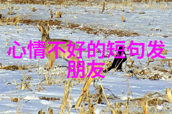 日本av明星 - 爱情与光影日本av明星的双重生活