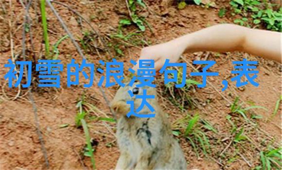 心理健康管理如何应对生活中的压抑感