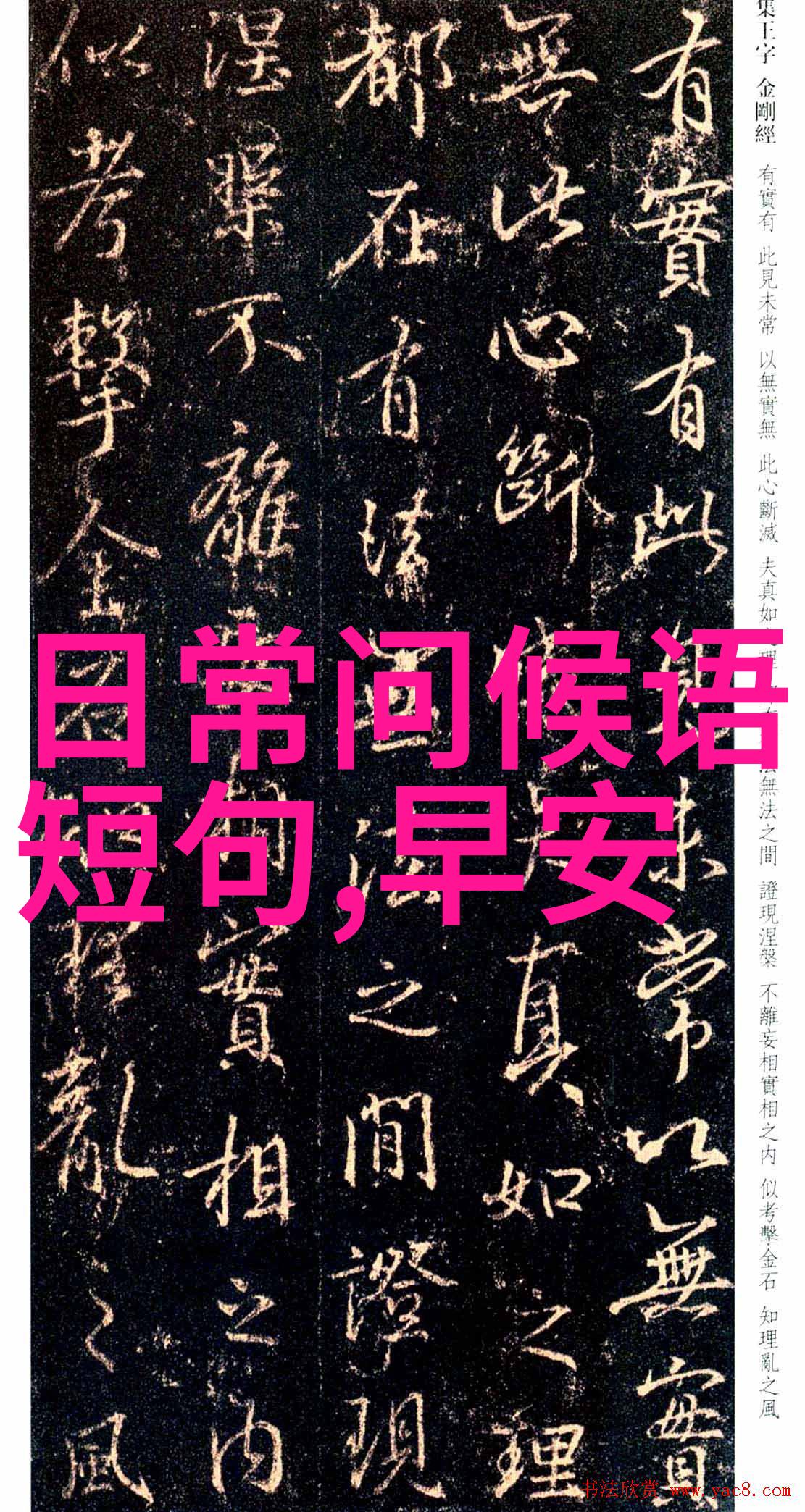 赞美女人气质高雅漂亮她那淡定优雅的风采让人心驰神往
