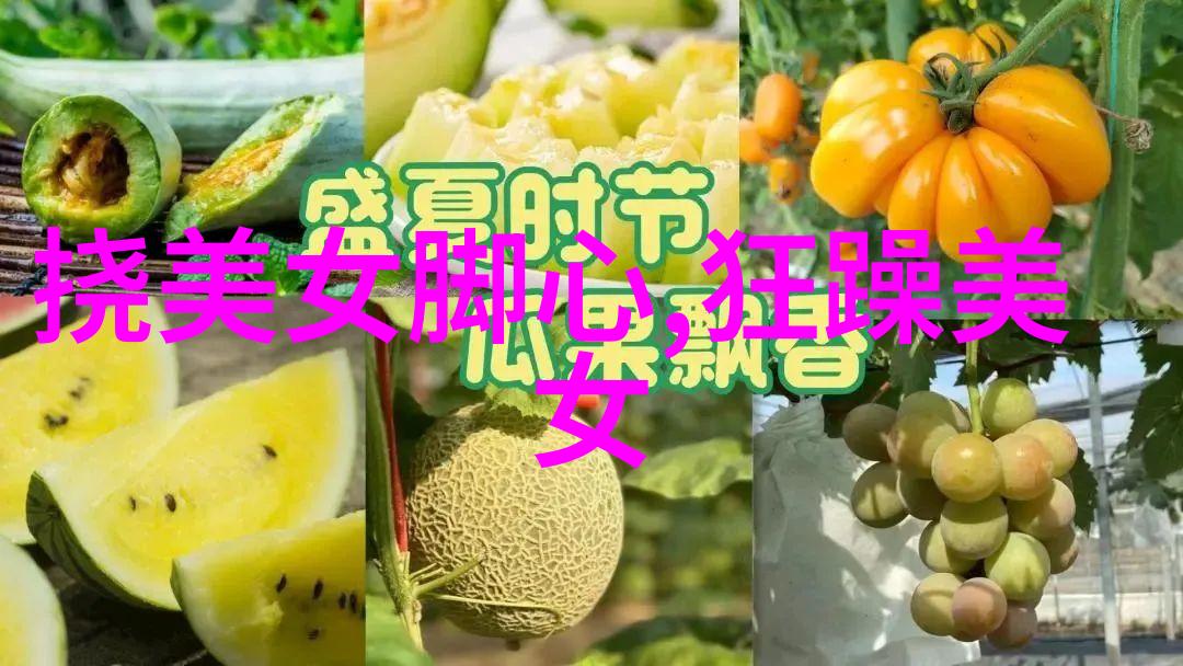 明星们下围棋全明星街球派对的非凡挑战赛