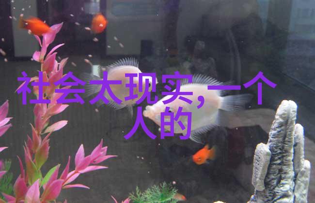 早晚时间全用上笑破你肚子的笑话10个