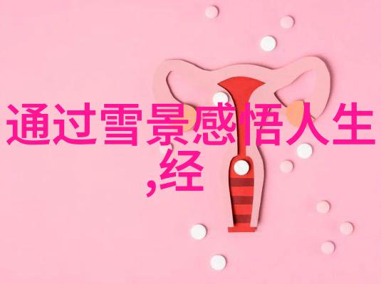 韩国女明星的文化影响力与社会形象演变研究
