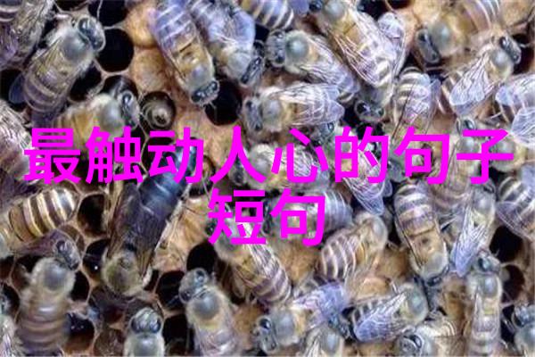 早晨温馨的问候创意早上好语句全集