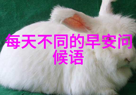 早安高雅的问候我的心中最温馨的早晨话语