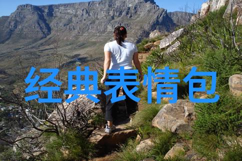 隐私保护与高效率之间现代社会是如何平衡使用文本识别软件的