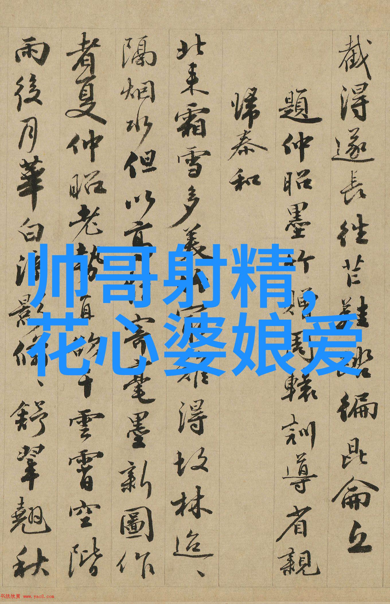岁月的编织小说中的永恒回忆