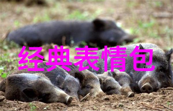 家长的作业纠纷被老师踢出课堂的代价