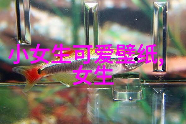 伤感游戏女网名心碎的编码