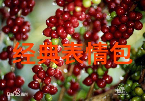 节日里的整人大作战