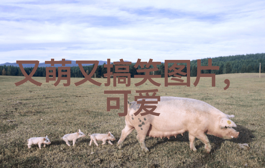 中国鬼片恐怖大电影大全免费观看是梦中恶灵的诱惑还是现实中的惊悚体验