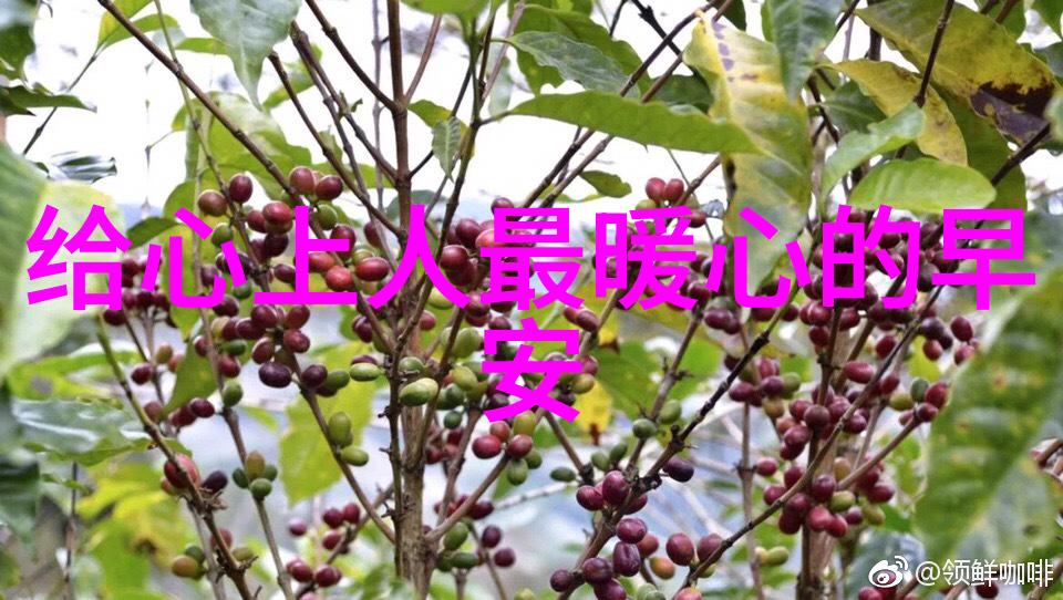 动感未来的颜值爆表最新卡通图片绚烂展示