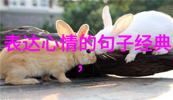 短小惊悚的鬼故事老夫妻夜谈恐怖经历