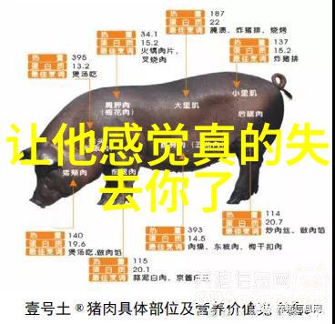 魔法师的礼物晨妤小美女发现隐藏在书本里的秘密