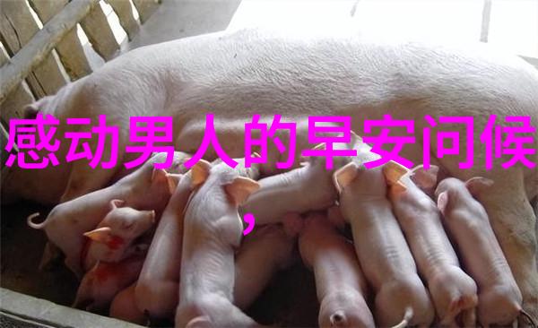 少数民族的传统节日我为你讲述那些不太熟悉的节日故事