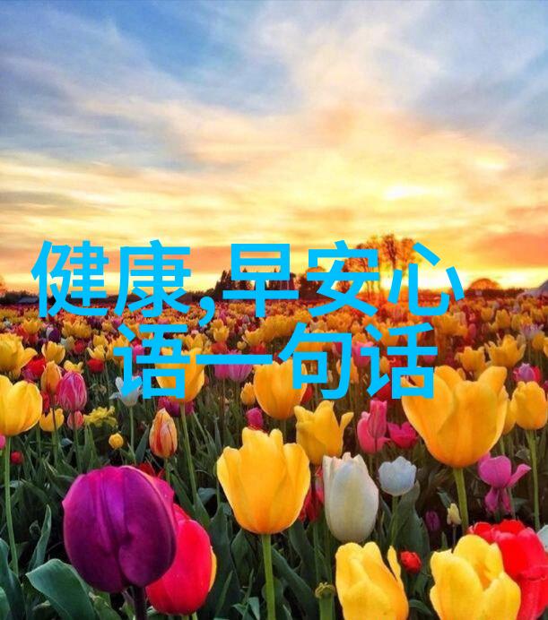 微信社交圈子寻找伴侣的网络平台