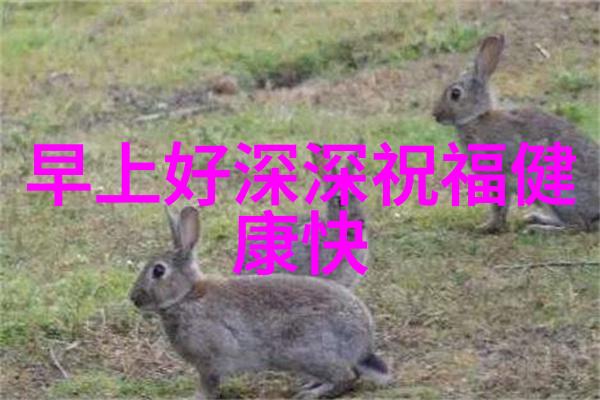 明星空游探索宇宙的名人行程