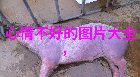 让未来不再迷茫中国最准的免费八字算命网告诉您什么