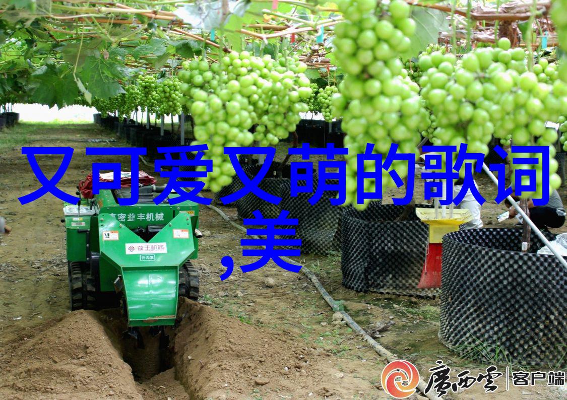 夏日美景我眼中的比基尼美女阳光与海浪的交响曲