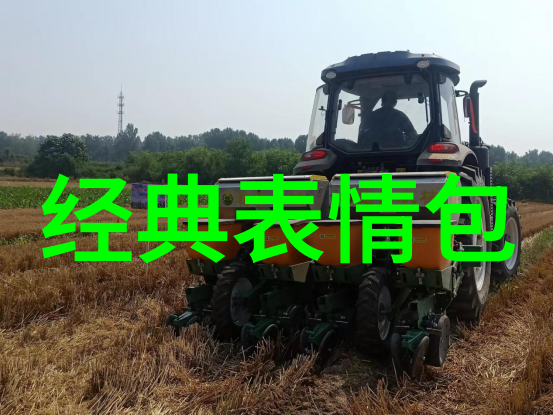可爱图片大全你一定会爱上这些超级萌宠的照片