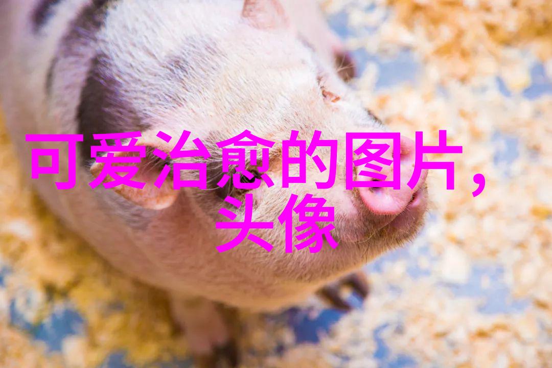 寻找真实美自然风格下的明星拍照挑战赛