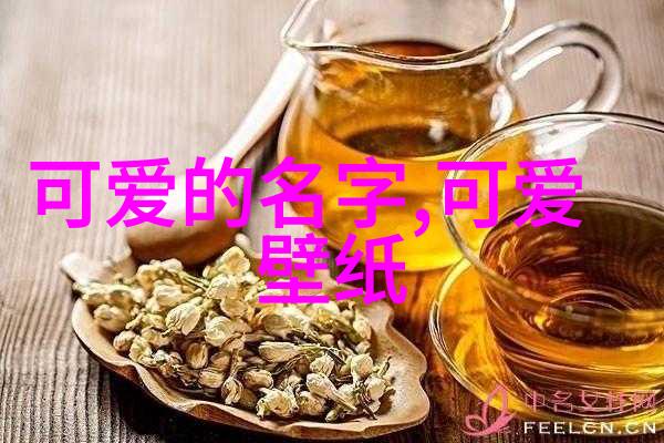 A校的美好回忆穿越时光的日子