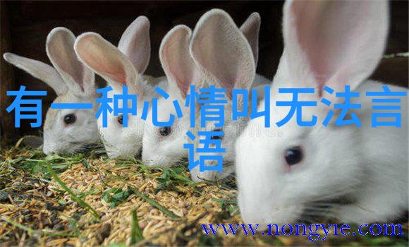 母亲的爱在游戏里补偿与成长的故事