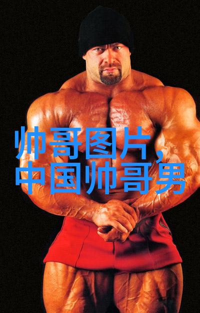 探索仙林踪的秘密免费体验官方网站上的奇幻世界